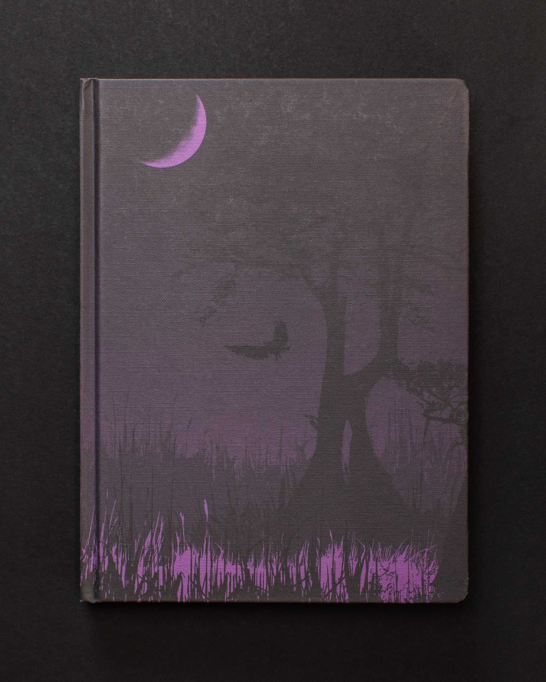 Midnight Swampland Dark Matter Notebook