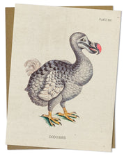 Dodo Bird Specimen Greeting Card