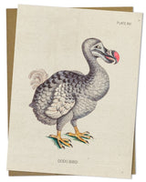 Dodo Bird Specimen Greeting Card