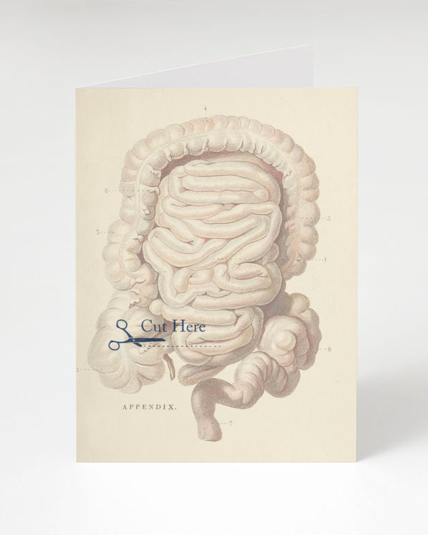 Appendix Cut Here Card