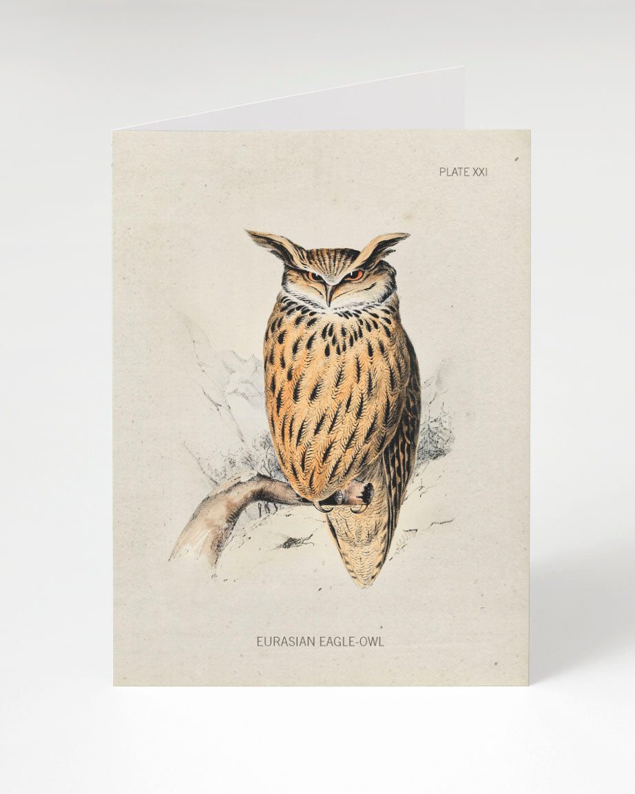 Eagle-Owl Bird Specimen Card
