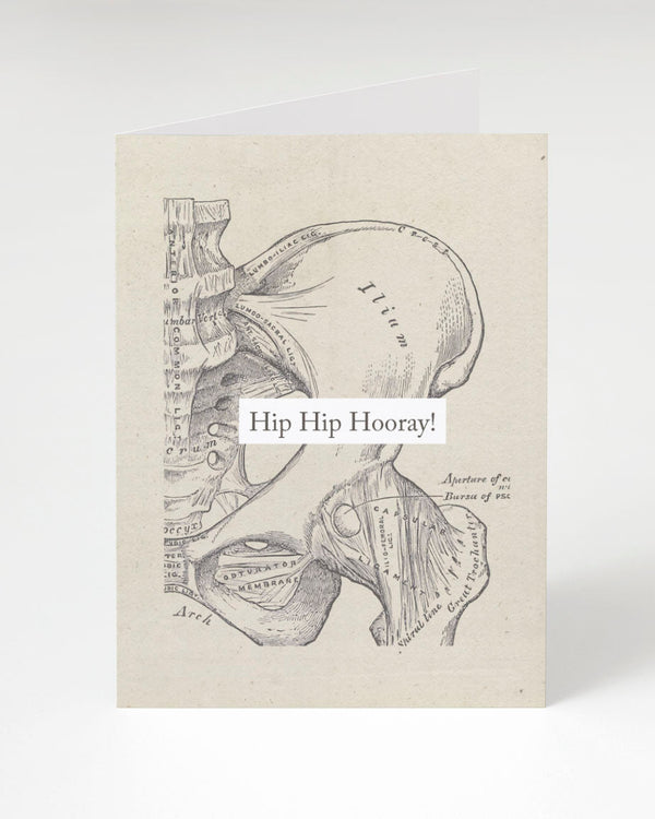 Hip Hip Hooray: Anatomy Card