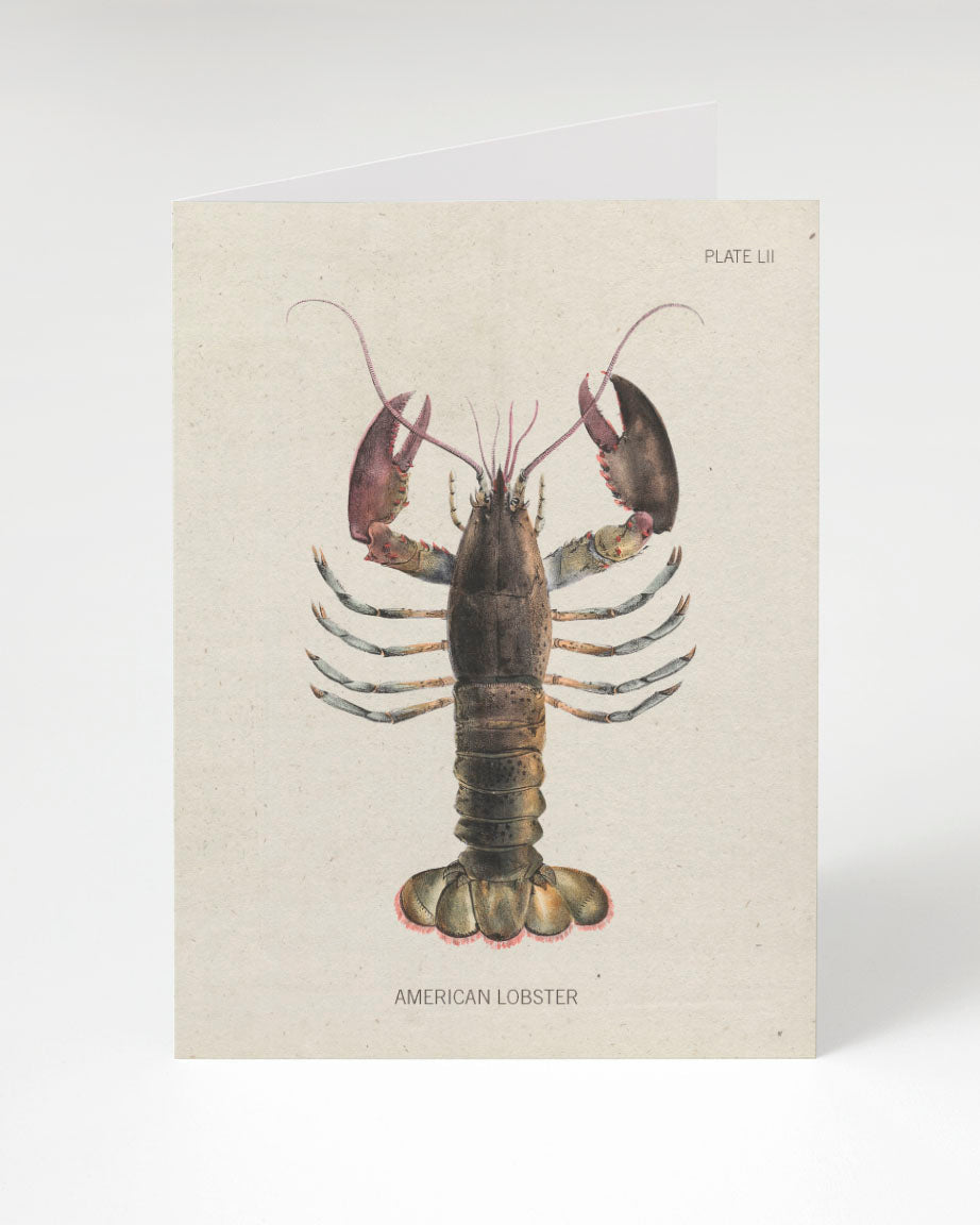 Lobster Specimen Card