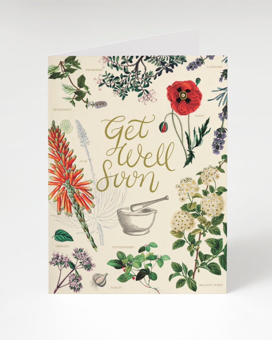 Get Well: Medicinal Botany Card