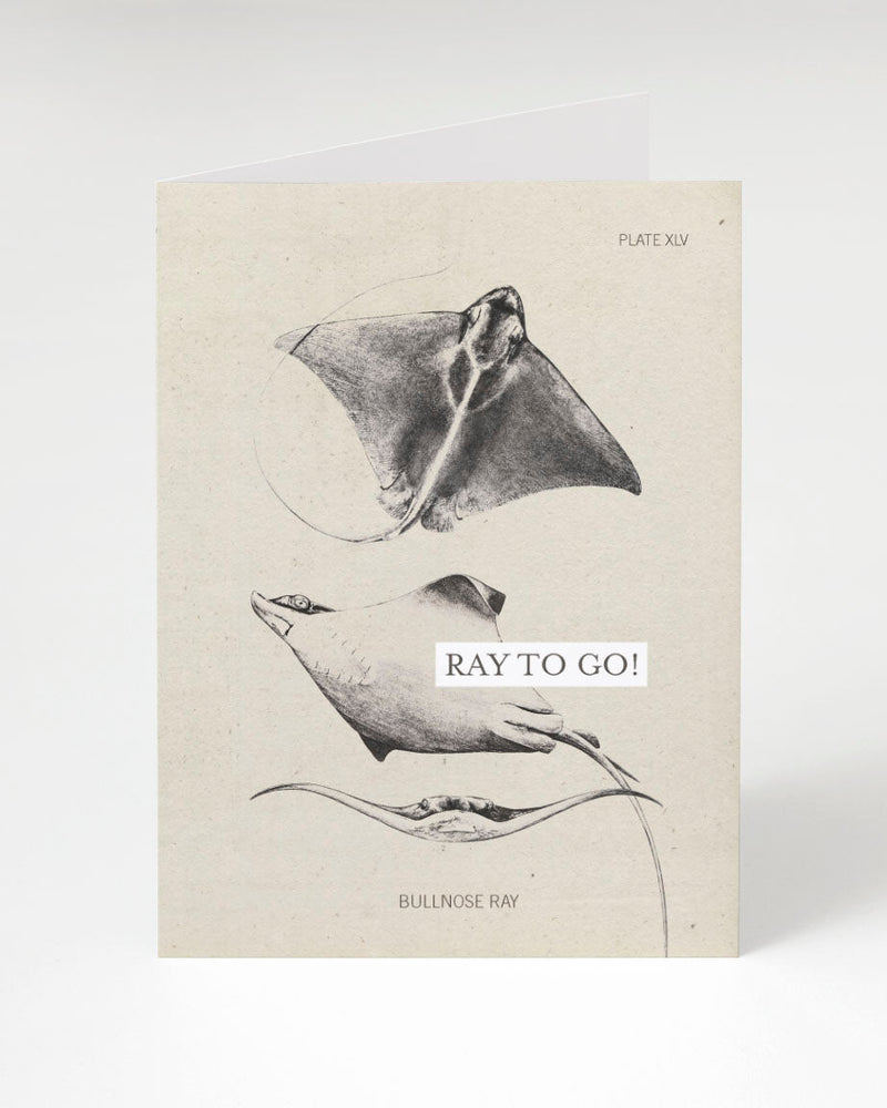 Ray to Go greeting card by Cognitive Surplus, tan, 100% recycled paper