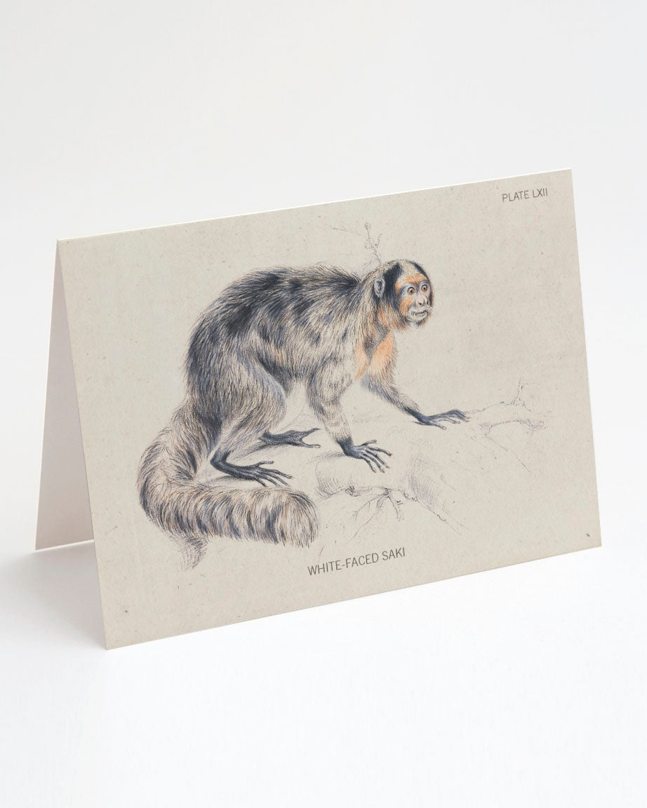 Saki Monkey Specimen Card