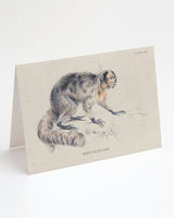 Saki Monkey Specimen Card