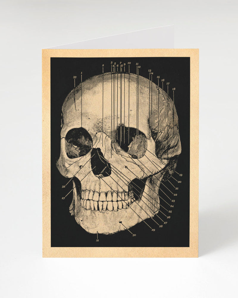 Human Skull Card Cognitive Surplus