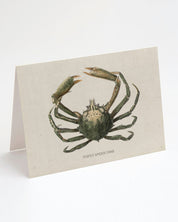Spider Crab Specimen Card