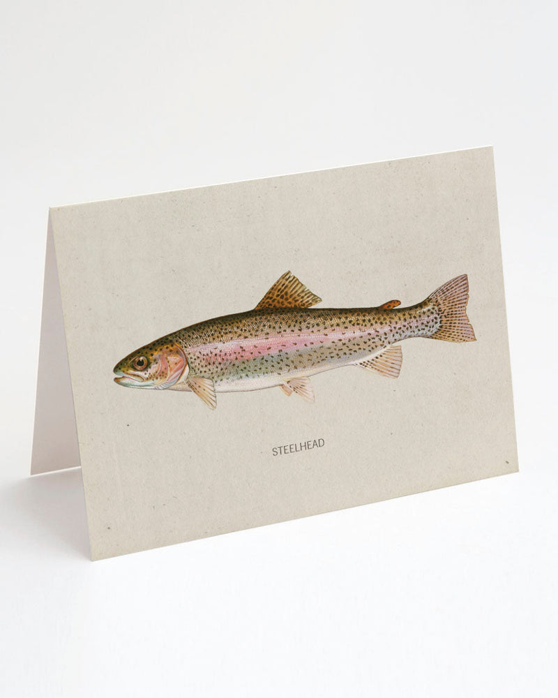 Steelhead Trout Specimen greeting card by Cognitive Surplus, 100% recycled paper