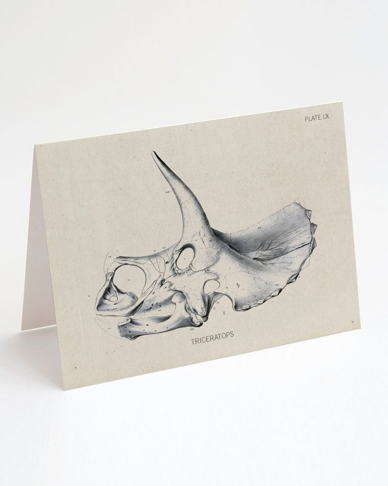 Triceratops Fossil Card
