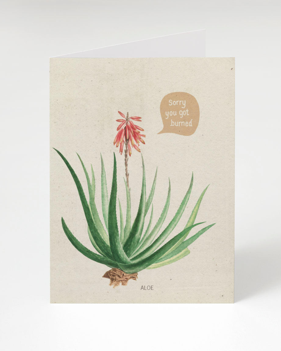 Sorry You Got Burned (Aloe) Card