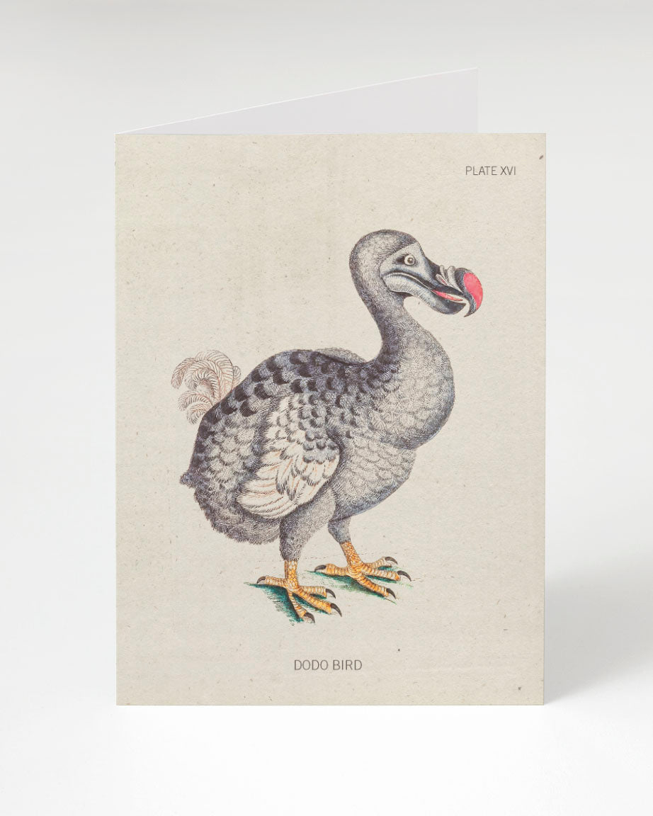 Dodo Bird Specimen Greeting Card