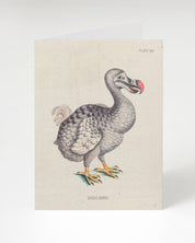 Dodo Bird Specimen Greeting Card