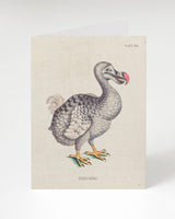 Dodo Bird Specimen Greeting Card