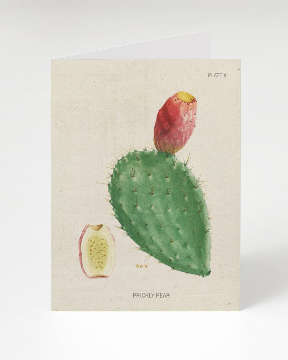 Prickly Pear Cactus Plate 2 Card