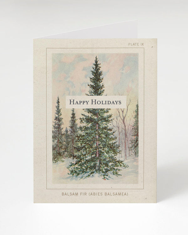 Balsam Fir Botanical Plate Happy Holidays Card