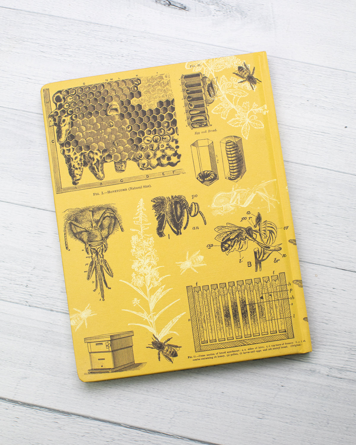 Bees Hardcover - Dot Grid