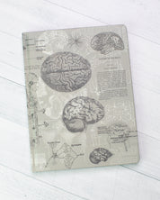 Brain Anatomy Hardcover - Dot Grid