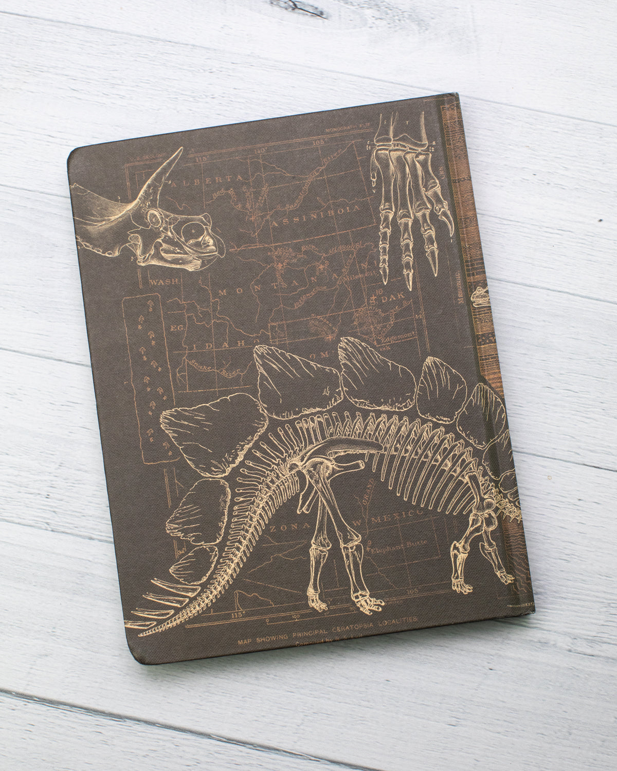 Paleontology Hardcover - Dot Grid