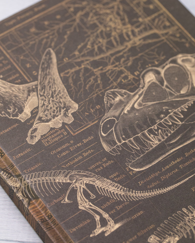Paleontology Hardcover - Dot Grid