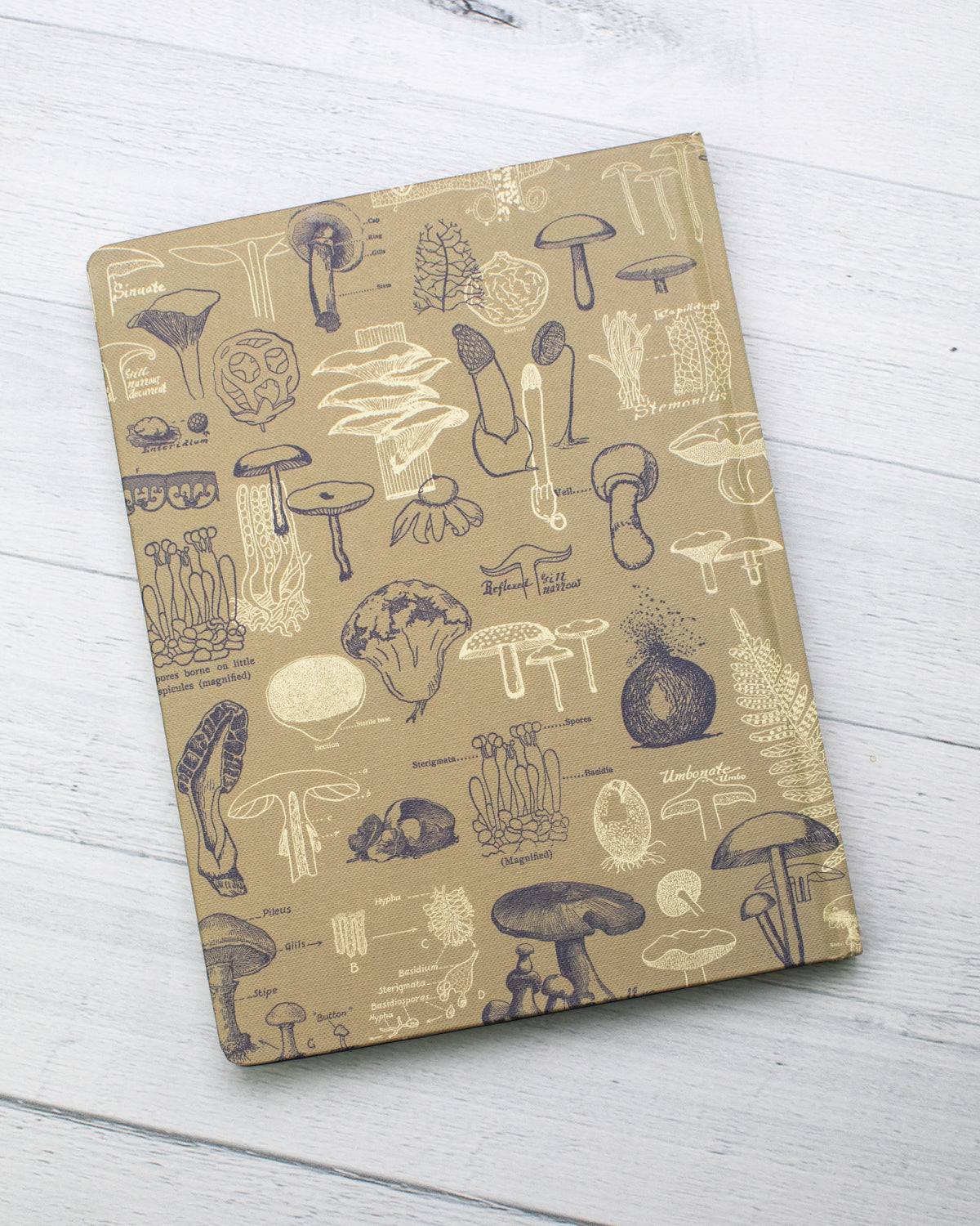 Mushrooms Hardcover - Dot Grid