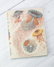 Haeckel Jellyfish Hardcover - Lined/Grid