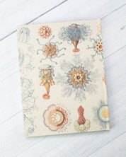 Haeckel Jellyfish Hardcover - Lined/Grid