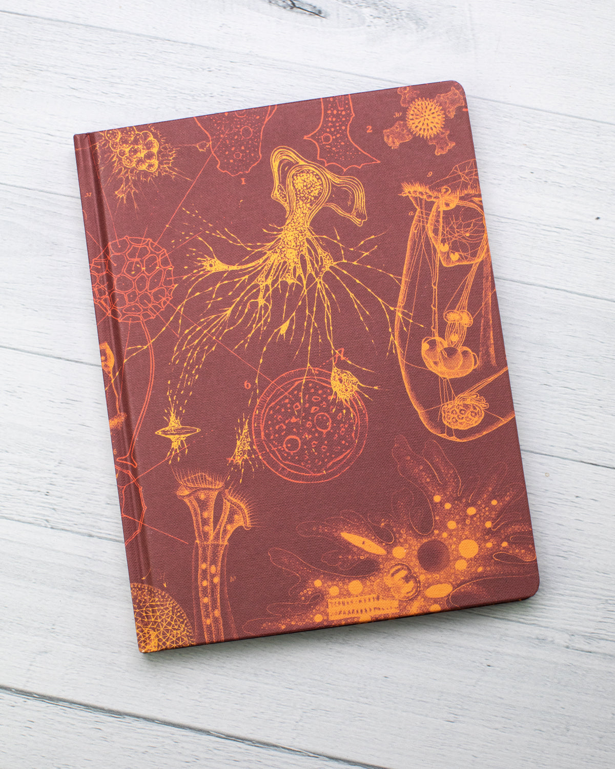 Microbiology Hardcover - Dot Grid