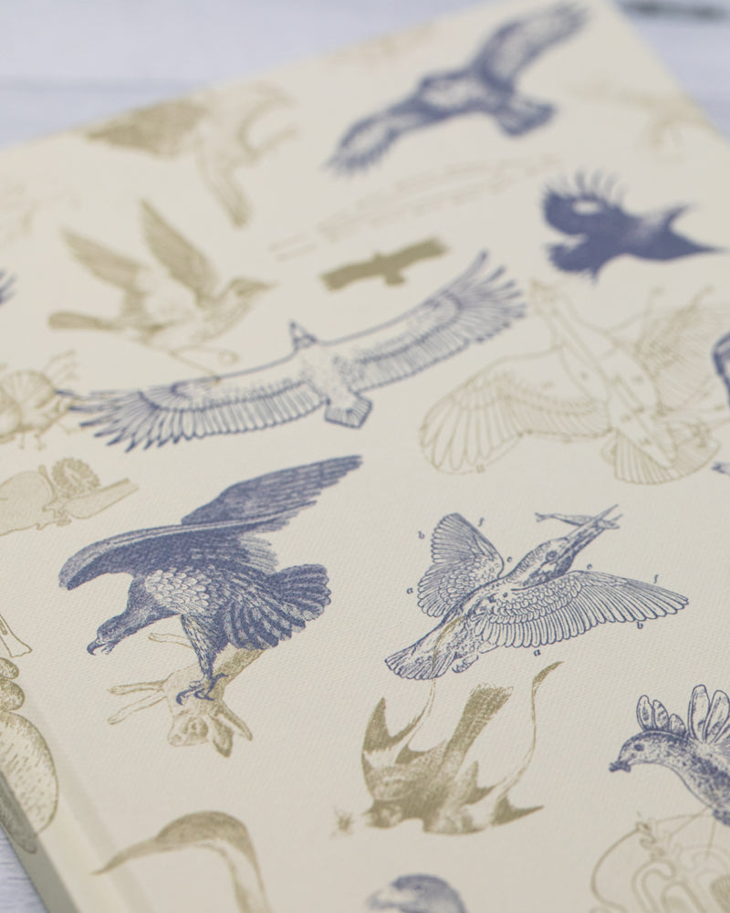 Carnivorous Birds Hardcover - Lined/Grid