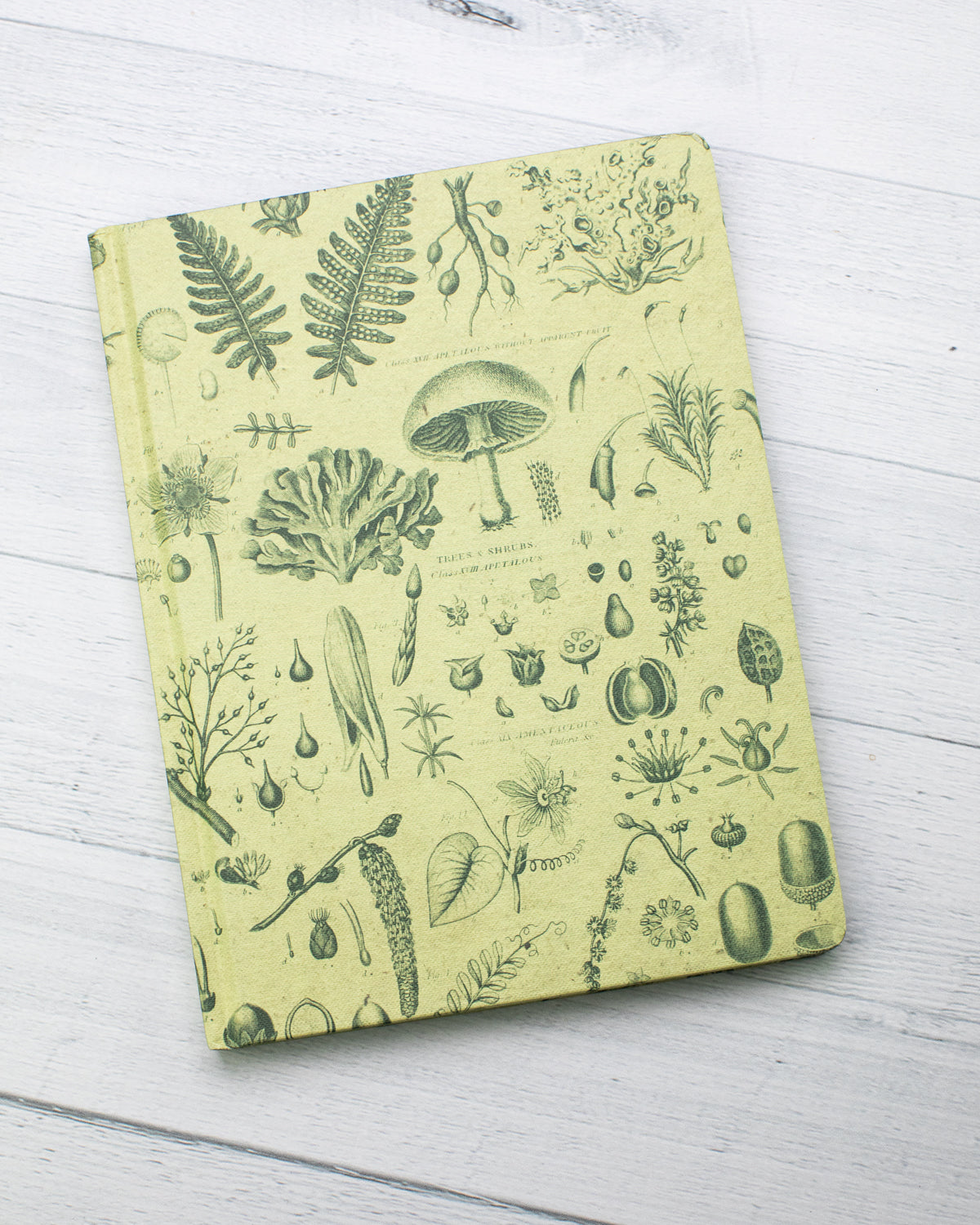 Plants & Fungi Hardcover - Lined/Grid