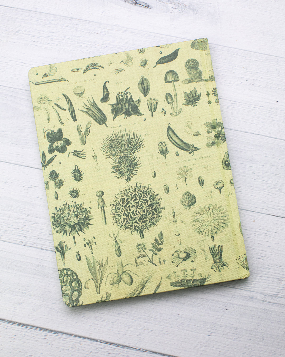 Plants & Fungi Hardcover - Lined/Grid