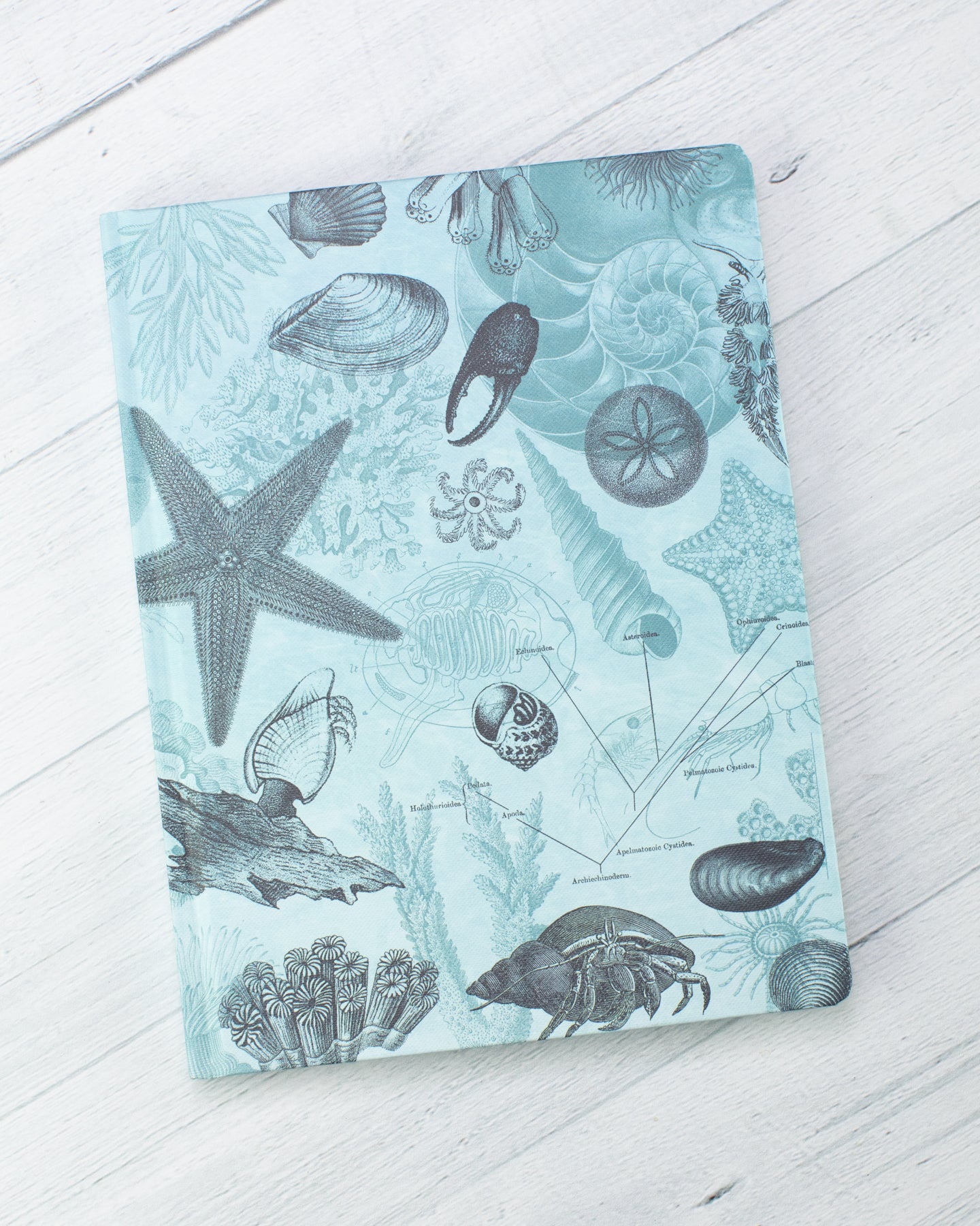 Shallow Seas Hardcover - Lined/Grid