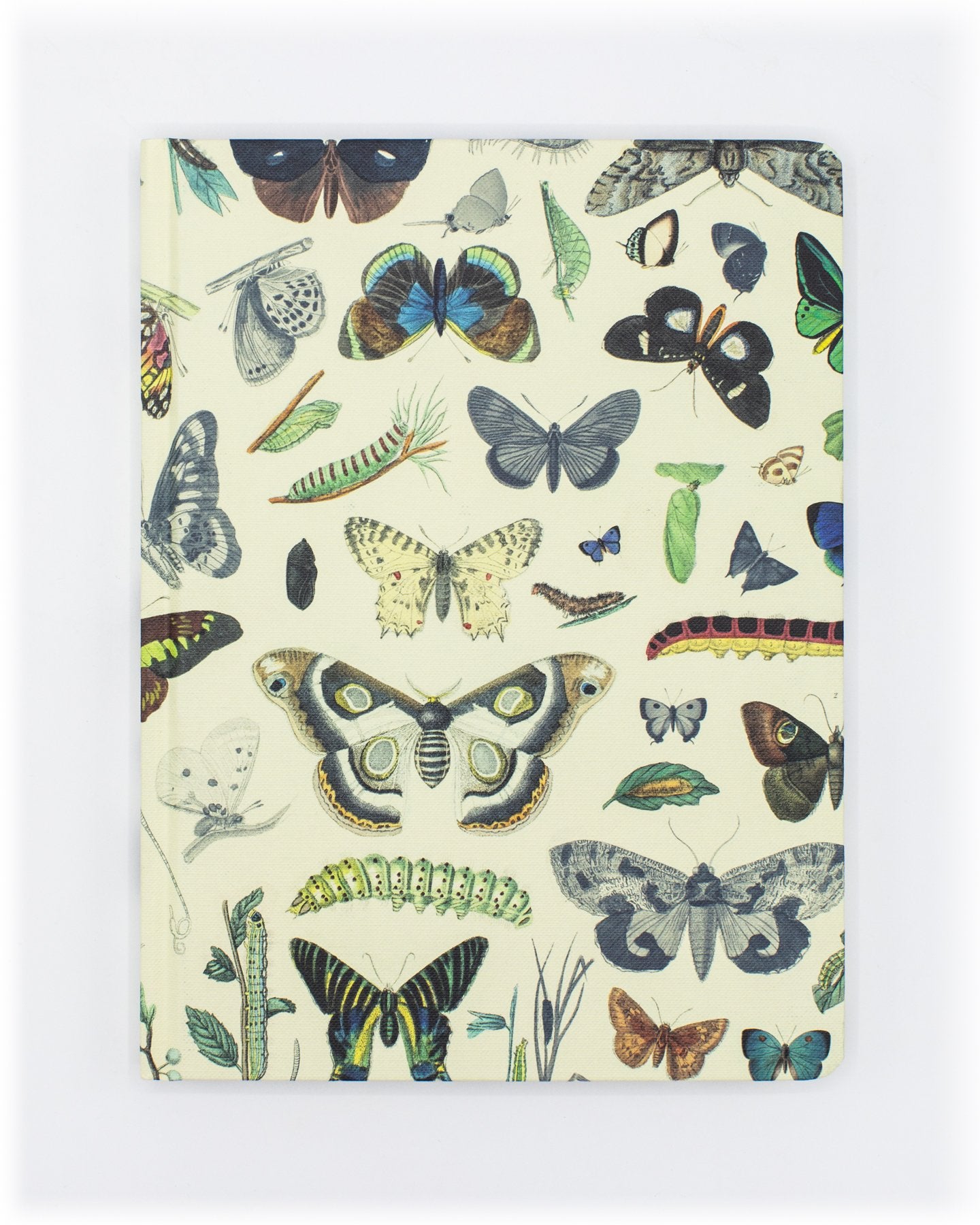 Butterflies Hardcover - Lined/Grid