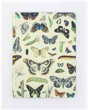 Butterflies Hardcover - Lined/Grid