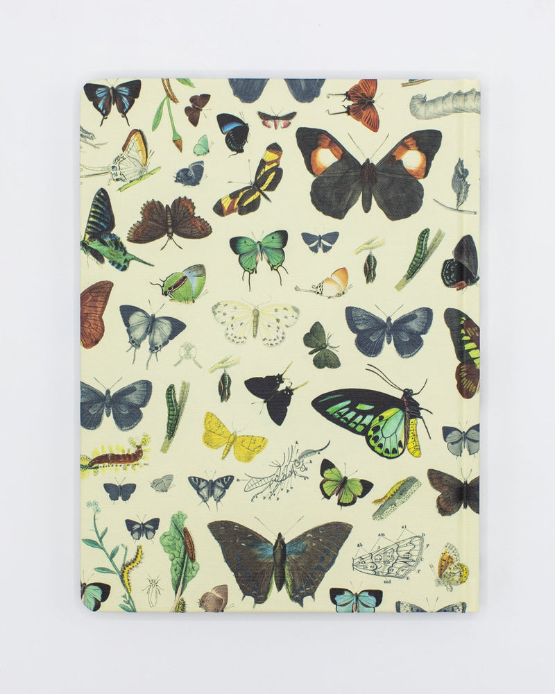 Butterflies Hardcover - Lined/Grid