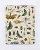 Insect Hardcover - Lined/Grid