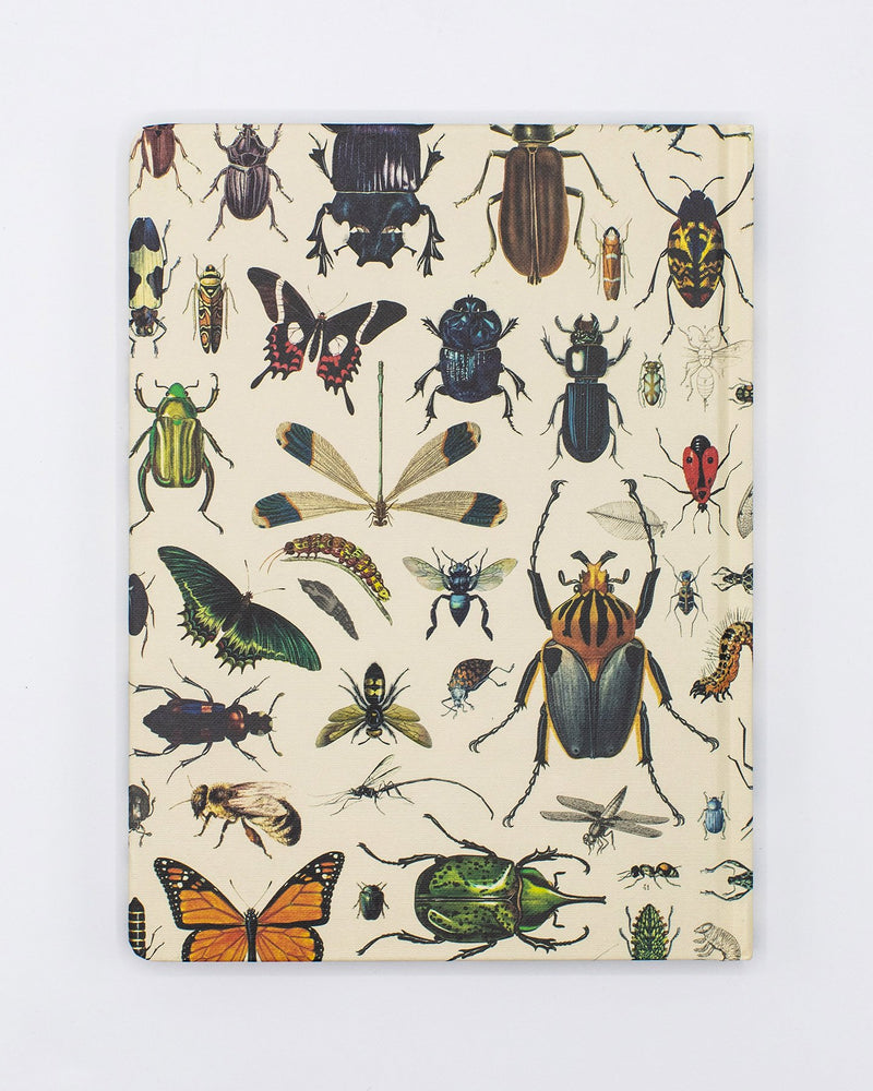 Insect Hardcover - Lined/Grid