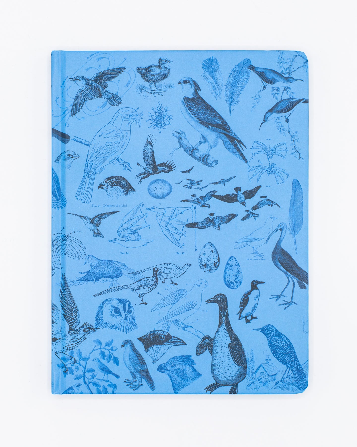 Birds Hardcover - Dot Grid