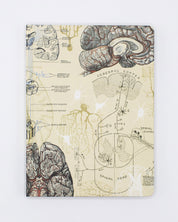 Brain & Neuroscience Hardcover - Lined/Grid
