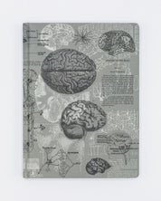 Brain Anatomy Hardcover - Dot Grid