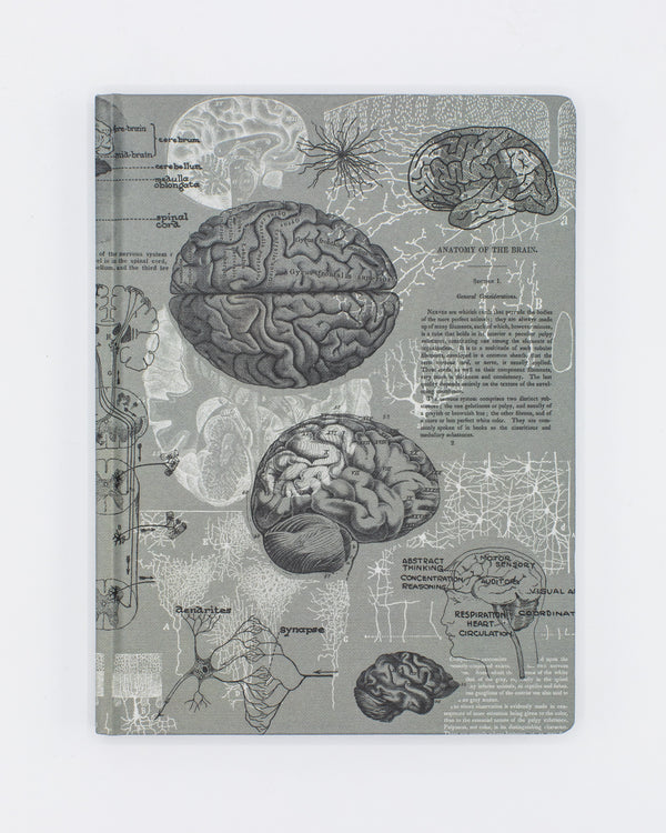 Brain Anatomy Hardcover - Dot Grid