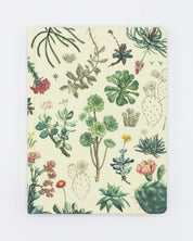 Succulents Hardcover - Dot Grid