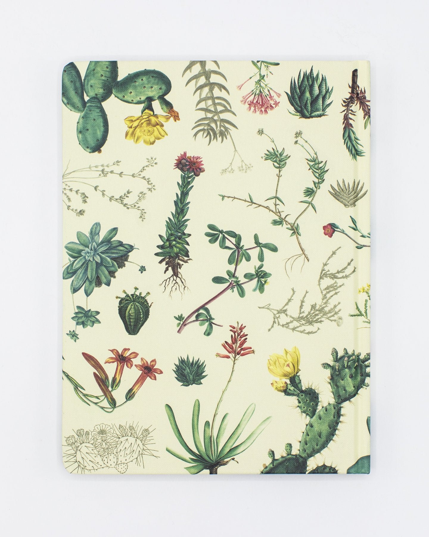 Succulents Hardcover - Dot Grid