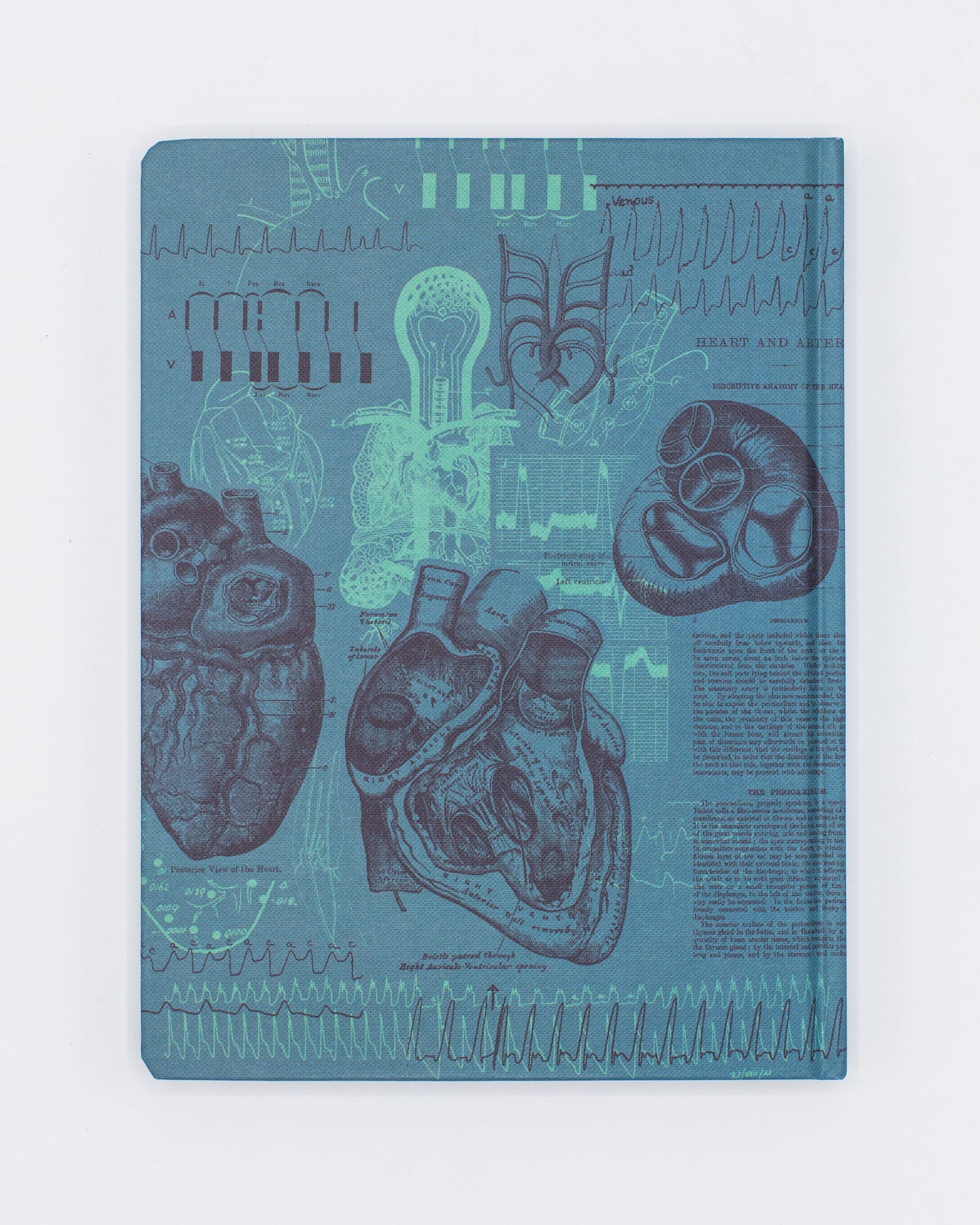 Cardiology Hardcover - Lined/Grid