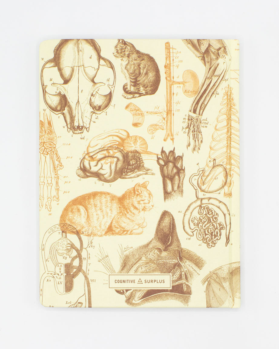 Veterinary Science: Cats Hardcover Notebook - Lined/Grid