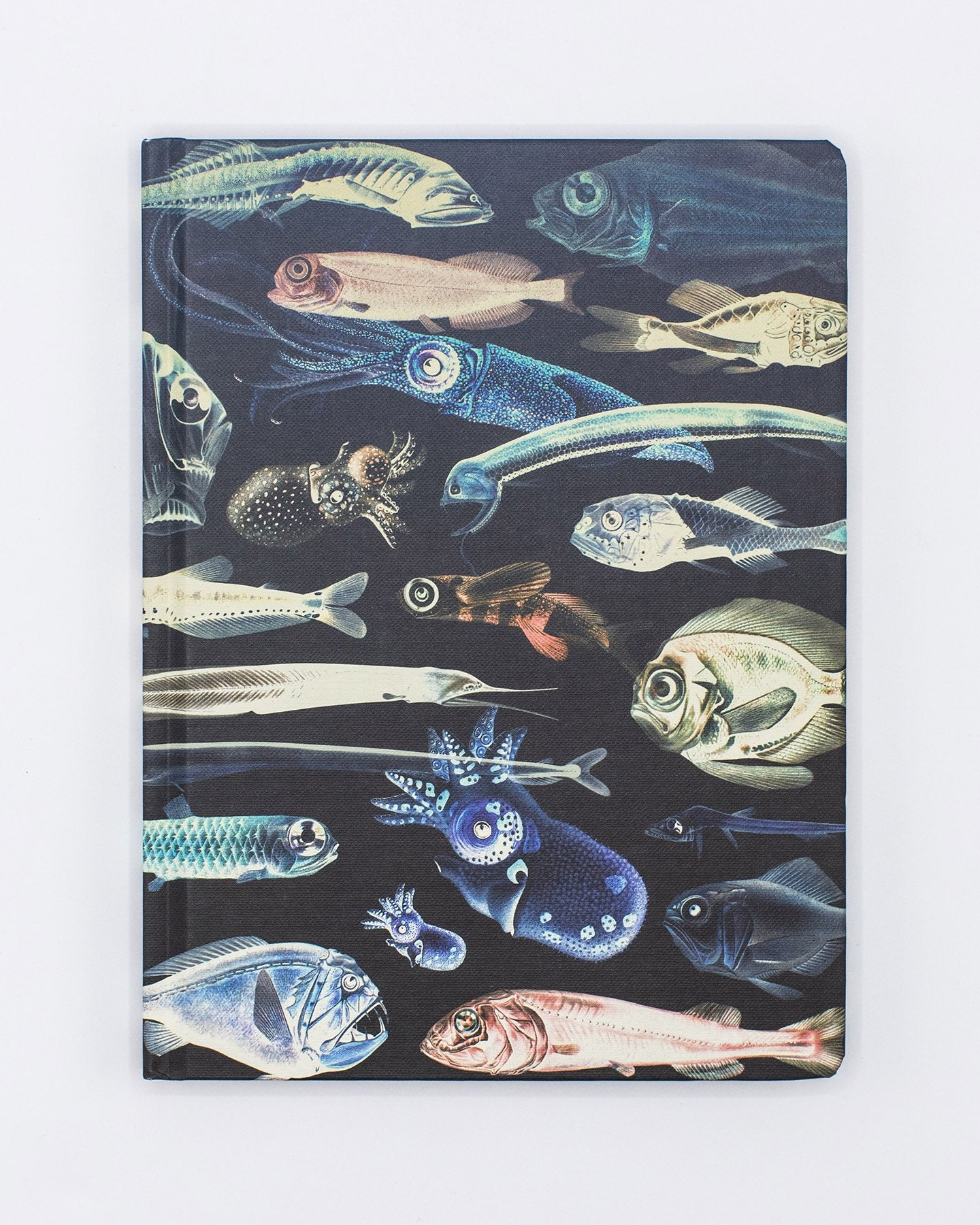 Deep Sea Hardcover - Lined/Grid