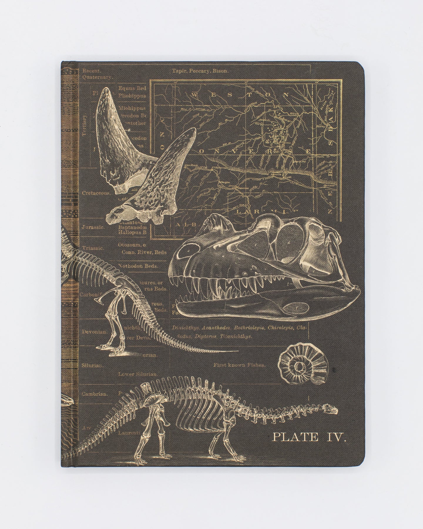 Paleontology Hardcover - Dot Grid