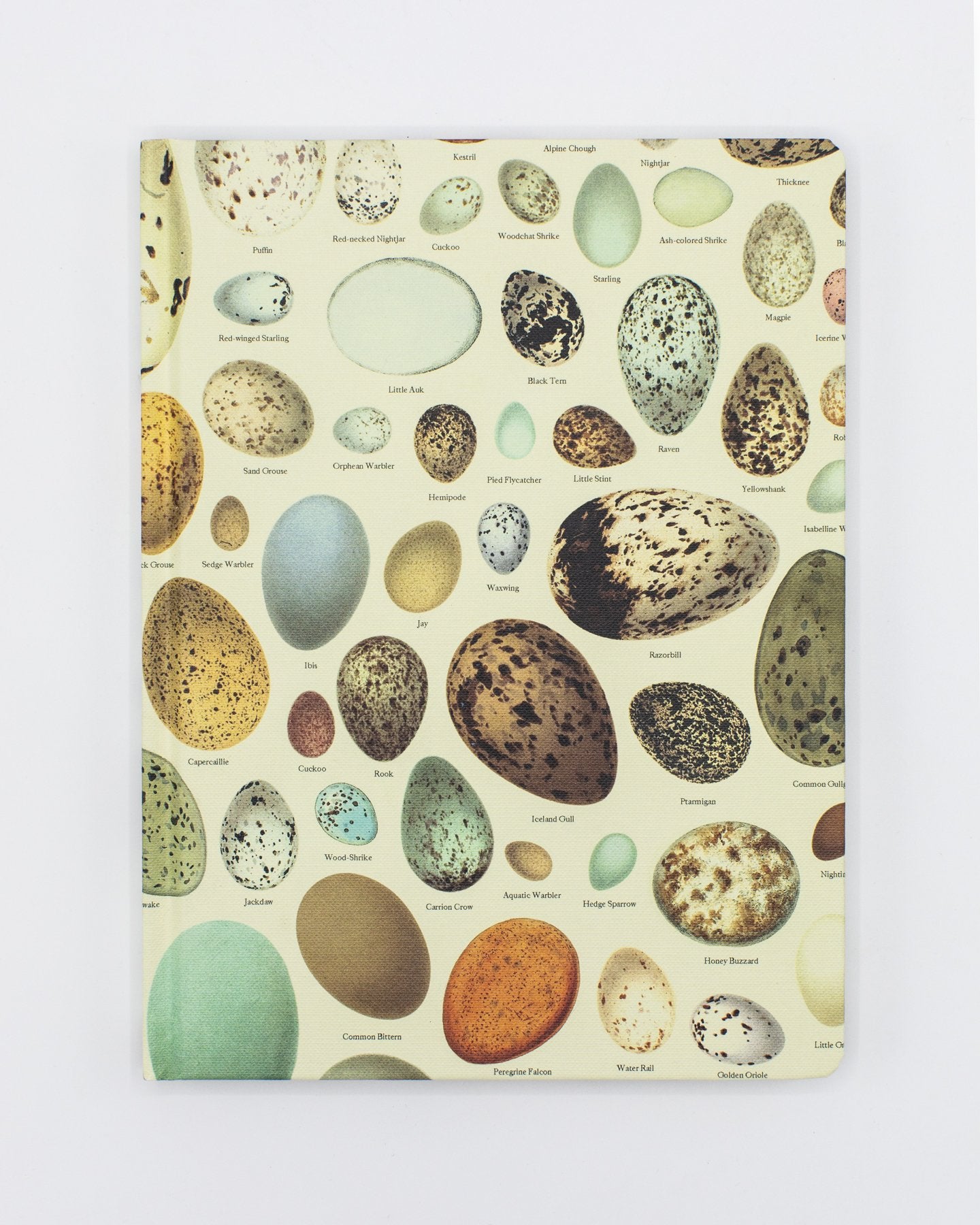 Eggs Hardcover - Dot Grid