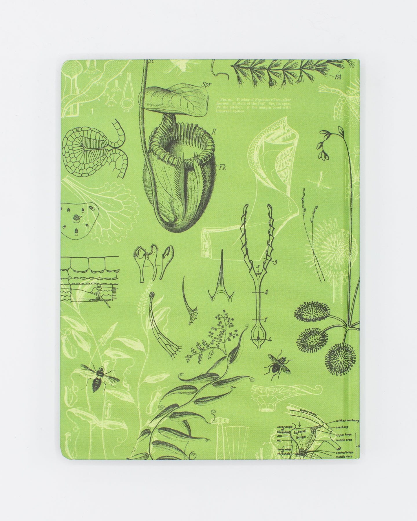 Carnivorous Plants Hardcover - Lined/Grid